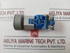 Eao 08.950.0 Self Resetting Push Button Switch With Lamp Block A039922 Ac500V Dc