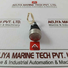 Eao 14-810.902 Buzzer Audio Indicator 24V Dc