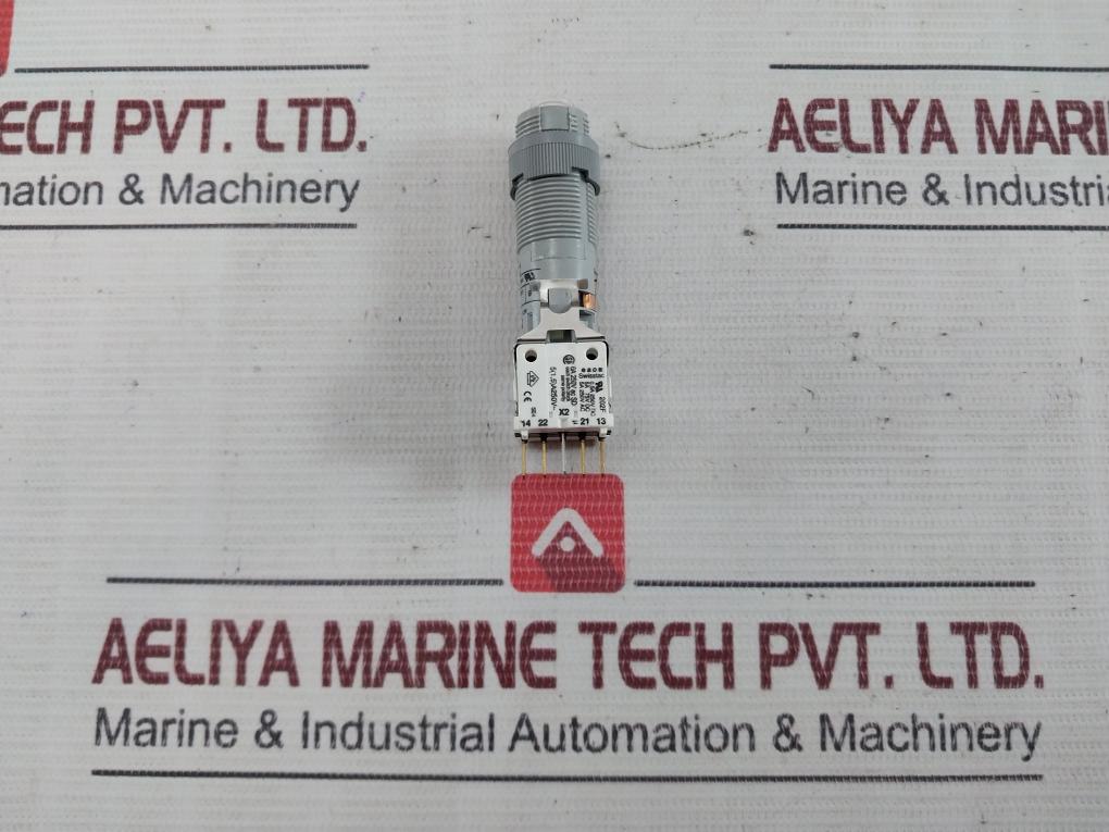 Eao 202F Illuminated Push Button 5A 250V Ac