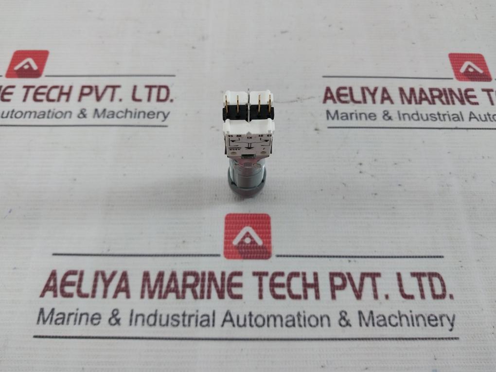 Eao 202F Illuminated Push Button 5A 250V Ac