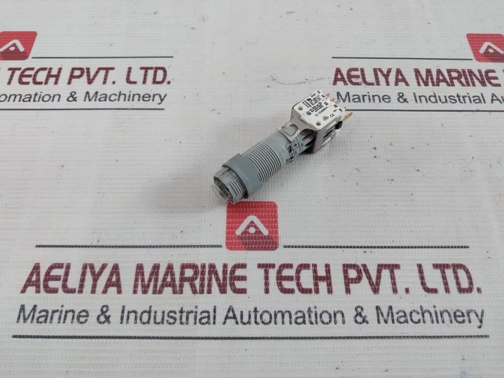 Eao 202F Illuminated Push Button 5A 250V Ac