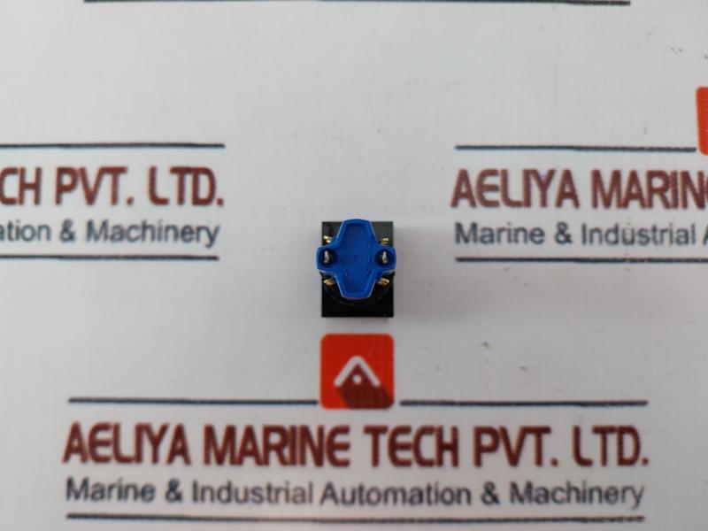 Eao 51-263.025 Illuminated Pushbutton Main Sa 60v/1.2w Max