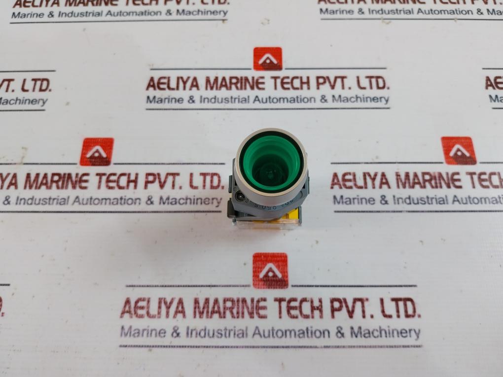 Eao 704.900.5 Switching Element W/ Lamp Block & Flange 704.900.5/704.950.5 250V