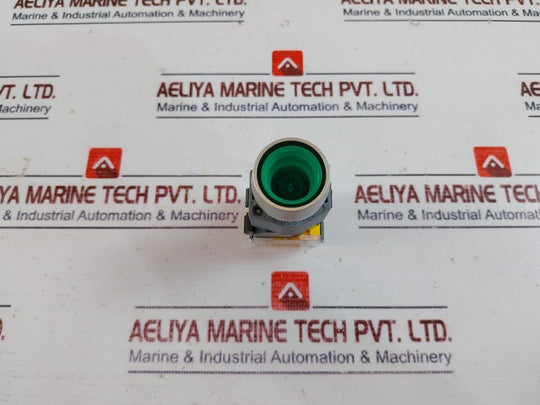 Eao 704.900.5 Switching Element W/ Lamp Block & Flange 704.900.5/704.950.5 250V