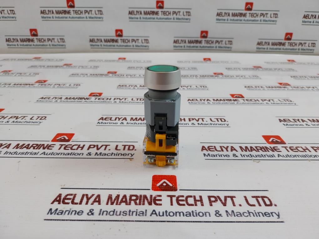 Eao 704.900.5 Switching Element W/ Lamp Block & Flange 704.900.5/704.950.5 250V