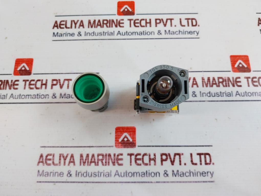 Eao 704.900.5 Switching Element W/ Lamp Block & Flange 704.900.5/704.950.5 250V