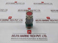 Eao 704.910.3 Illuminated Pushbutton Switch 380V 2,4W