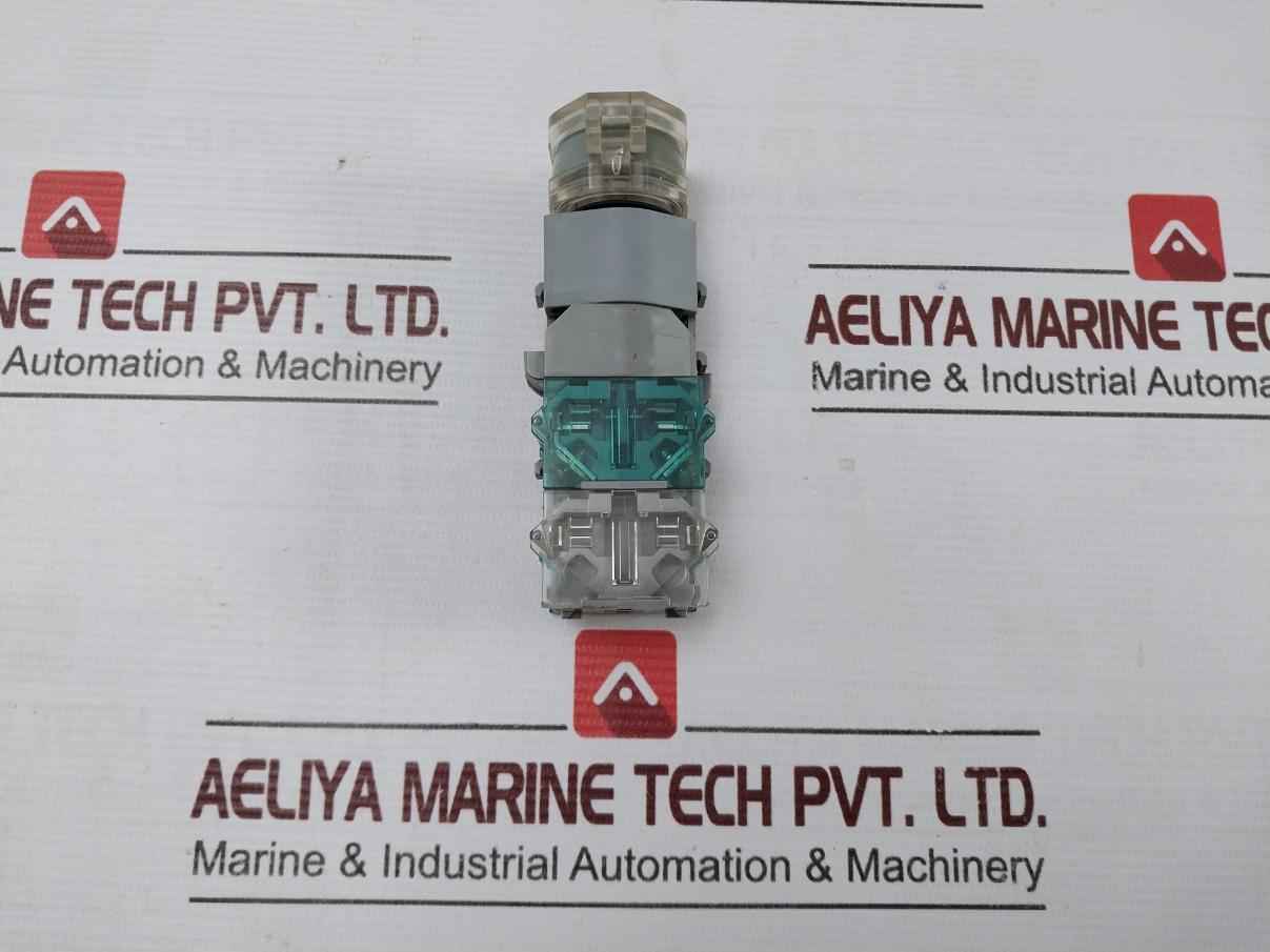 Eao 704.910.3 Illuminated Pushbutton Switch 380V 2,4W