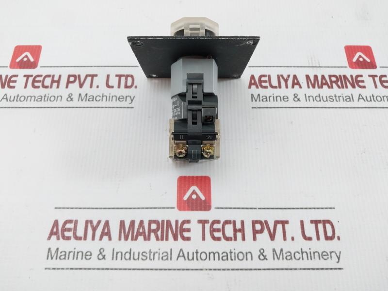 Eao Heavy Pilot Duty Guarded Pushbutton Switch 10A 500V 704.950.0
