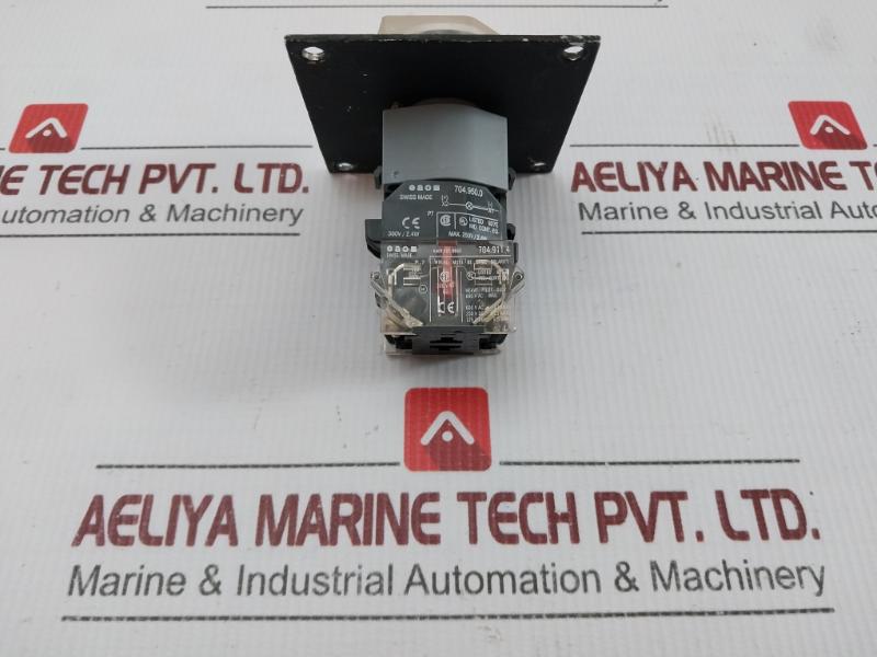 Eao Heavy Pilot Duty Guarded Pushbutton Switch 10A 500V 704.950.0