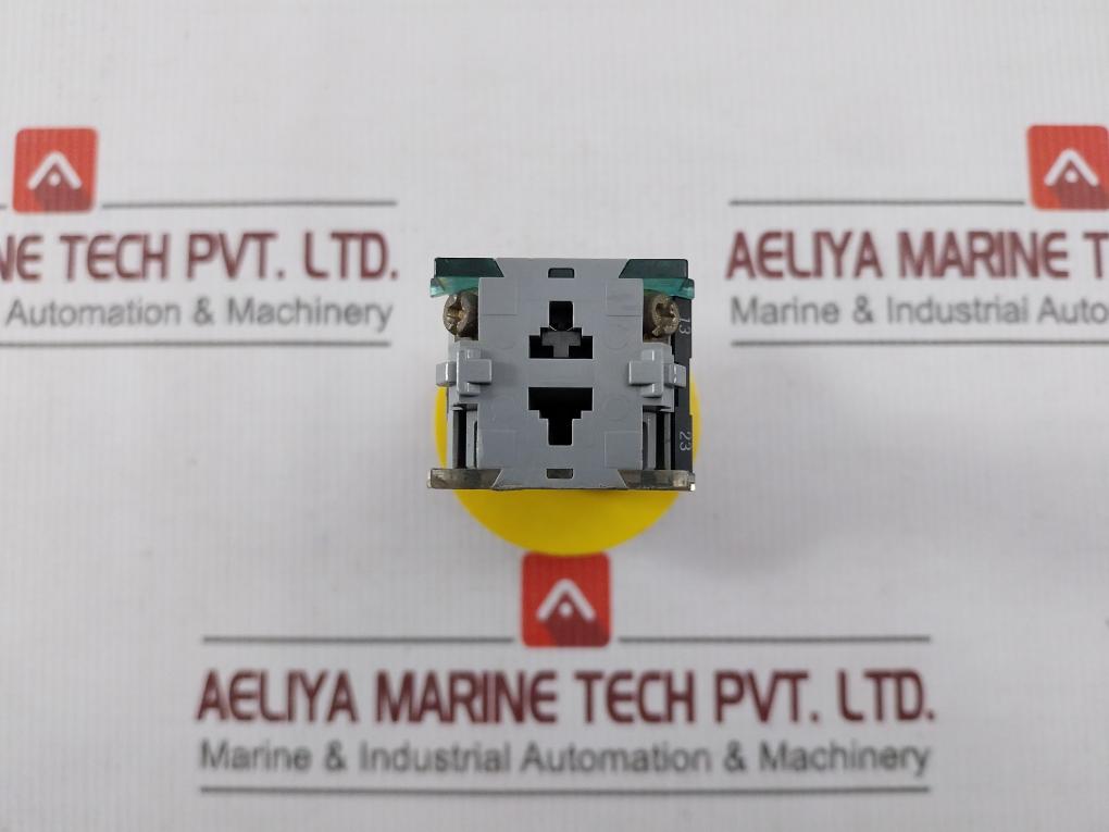 Eao 704.950.0 Emergency Stop Push Button Switch
