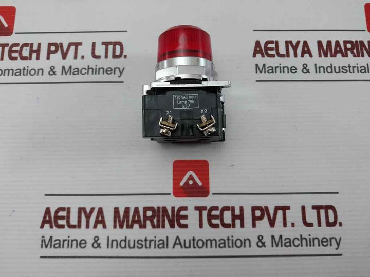 Eaton 10250T181N Pushbutton With Cylinder Lock Operator 120Vac