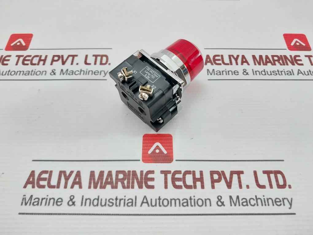 Eaton 10250T181N Pushbutton With Cylinder Lock Operator 120Vac