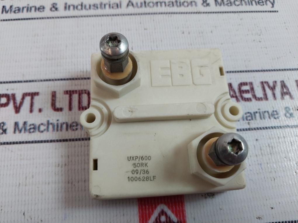 EBG UXP/600 Ultra High Power Resistor 09/36