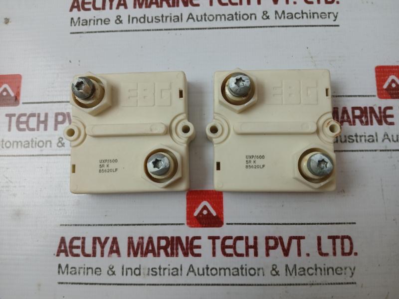 Ebg Uxp/600 Ultra High Power Resistor,220V 50-60Hz