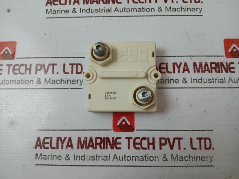 Ebg Uxp/600 Ultra High Power Resistor,220V 50-60Hz