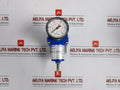 Eckardt Supply 0-6 Bar/0-90 Psi Filter Regulator Frs923-2Rk