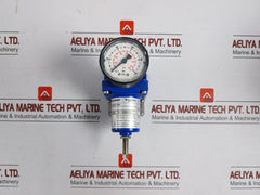Eckardt Supply 0-6 Bar/0-90 Psi Filter Regulator Frs923-2Rk