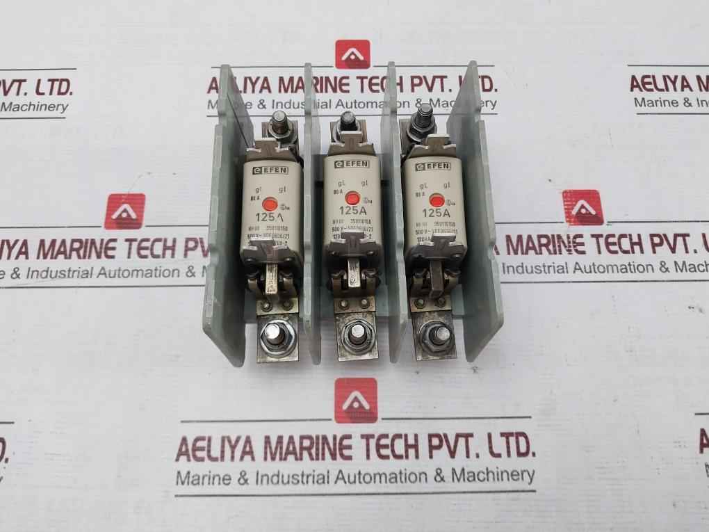 Efen Nh00 Fuse Holder With Fuses 500V~ Vde 0636/21 35110150