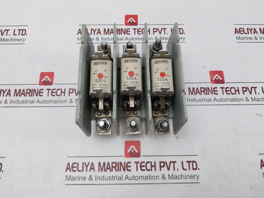 Efen Nh00 Fuse Holder With Fuses 500V~ Vde 0636/21 35110150