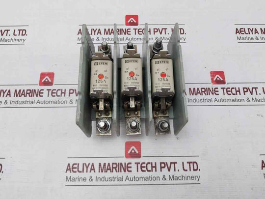 Efen Nh00 Fuse Holder With Fuses 500V~ Vde 0636/21 35110150