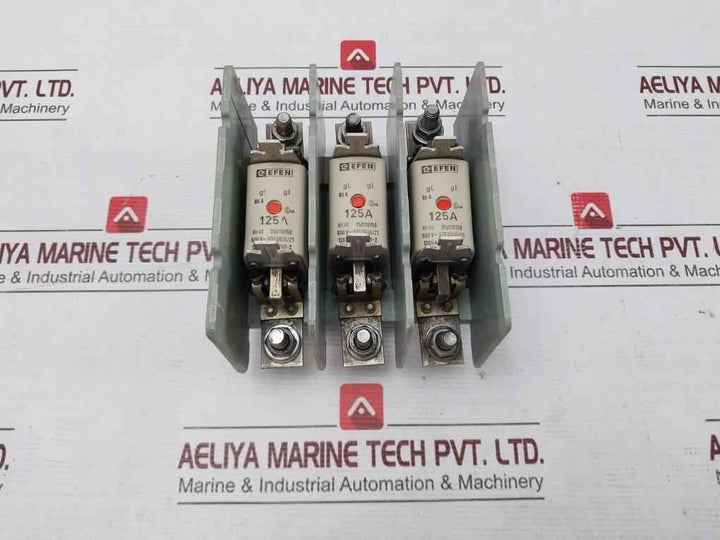 Efen Nh00 Fuse Holder With Fuses 500V~ Vde 0636/21 35110150