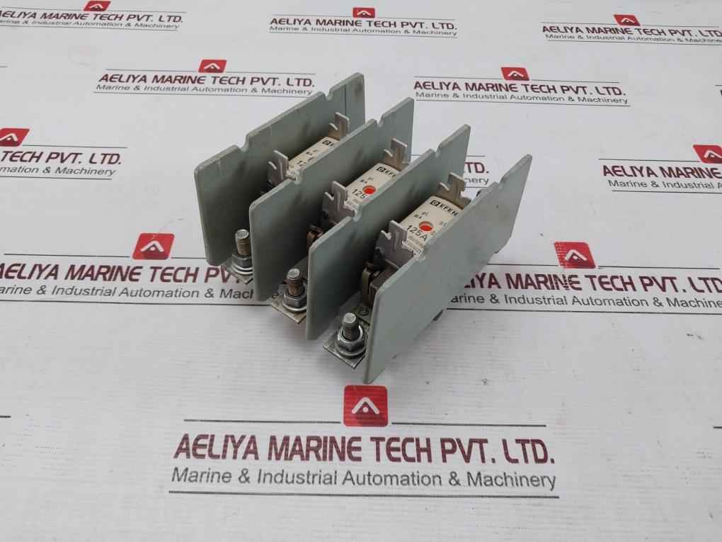 Efen Nh00 Fuse Holder With Fuses 500V~ Vde 0636/21 35110150