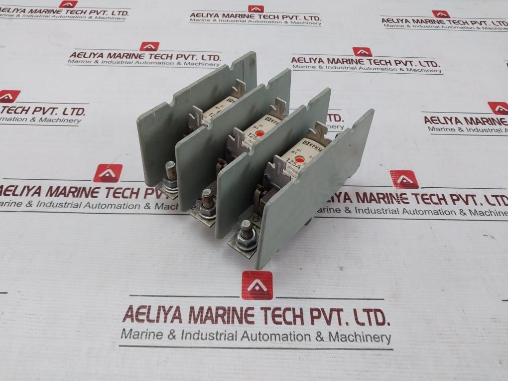 Efen Nh00 Fuse Holder With Fuses 500V~ Vde 0636/21 35110150