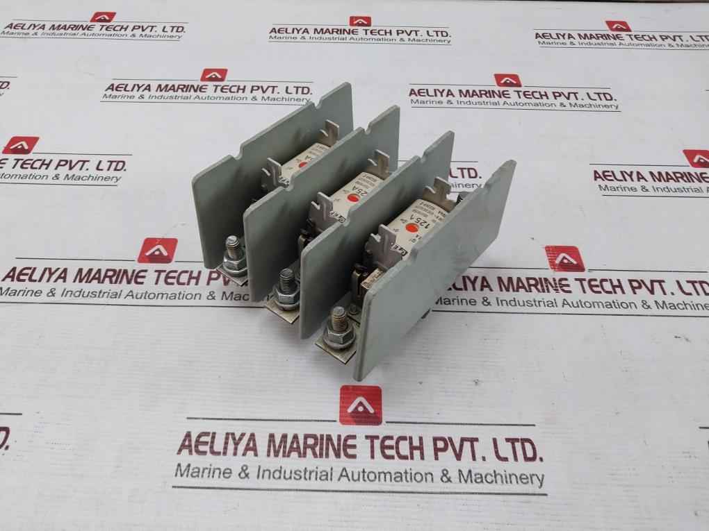 Efen Nh00 Fuse Holder With Fuses 500V~ Vde 0636/21 35110150