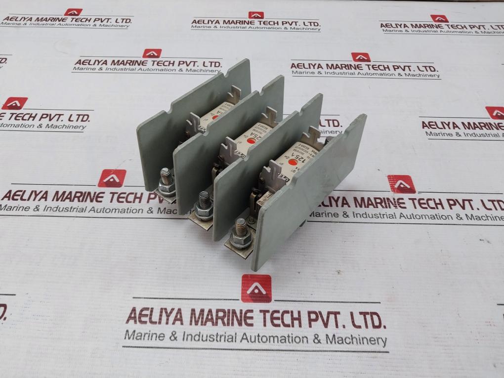 Efen Nh00 Fuse Holder With Fuses 500V~ Vde 0636/21 35110150