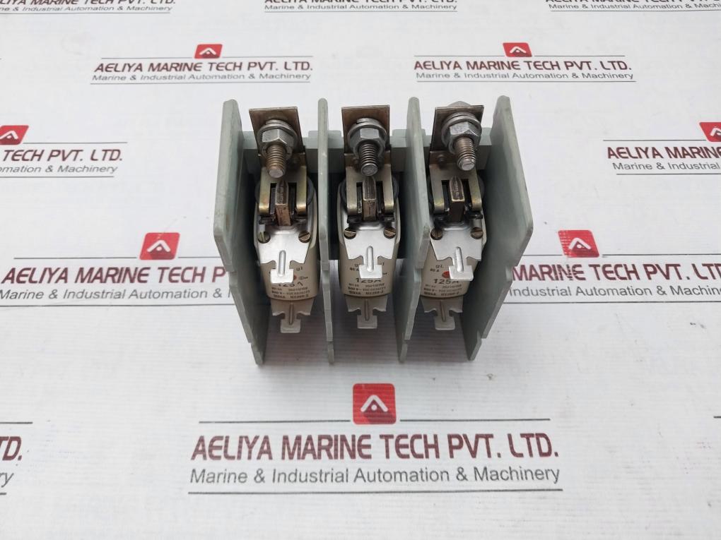 Efen Nh00 Fuse Holder With Fuses 500V~ Vde 0636/21 35110150