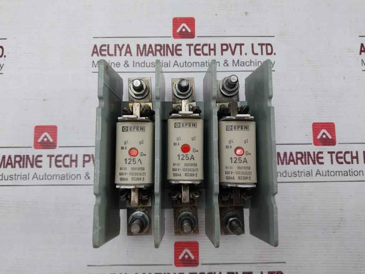 Efen Nh00 Fuse Holder With Fuses 500V~ Vde 0636/21 35110150