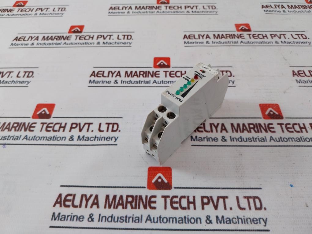 EGE SKM 420 GR Flow Control Amplifier