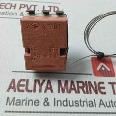 Ego 55.13282.030 Thermostat 600 Celsius X 0117