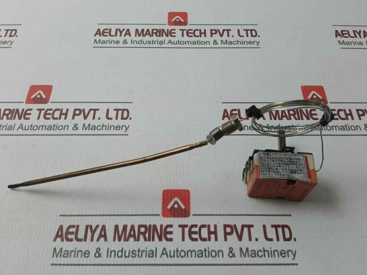 Ego 55.13282.030 Thermostat 600 Celsius X 0117
