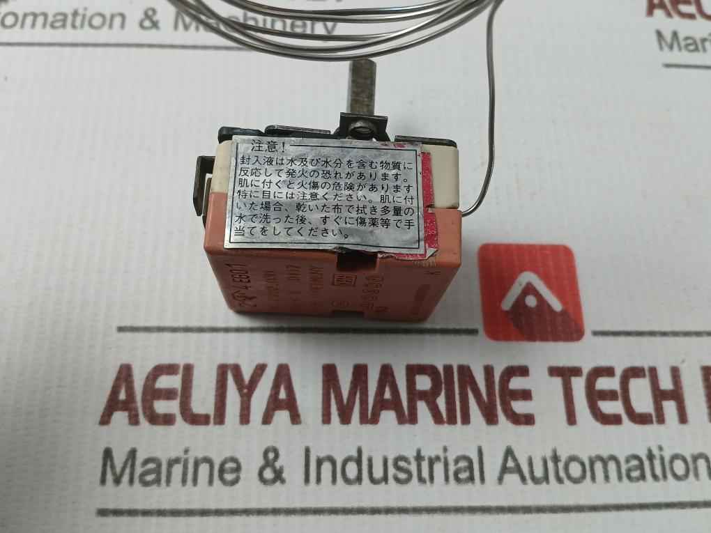 Ego 55.13282.030 Thermostat 600 Celsius X 0117