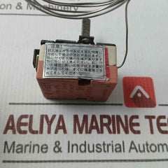 Ego 55.13282.030 Thermostat 600 Celsius X 0117