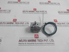 Ego 55.33555.010 Safety Thermostat 295-10˚C