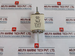 Eia Nh-2 Eurofuse Gl-gg 120Ka 50A 500V
