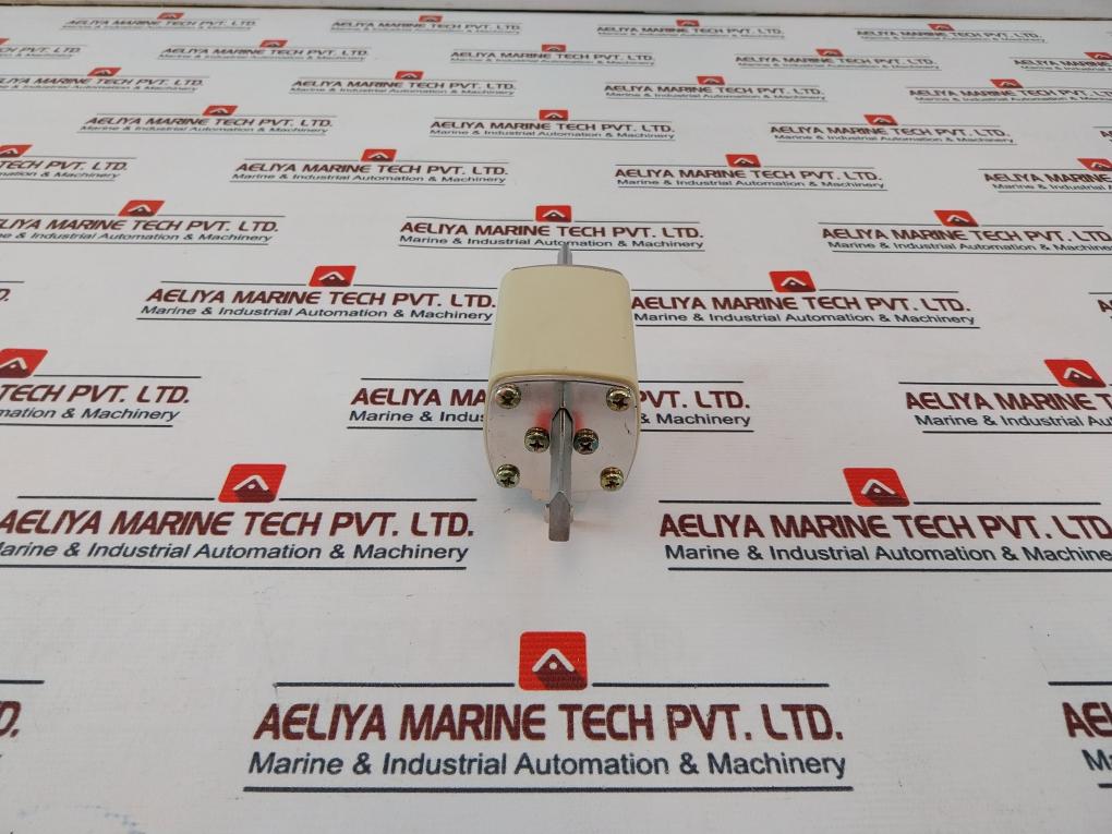 Eia Nt1 Nh1 Fuse Link Gl/Gg 125A