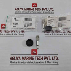 Electrolux 487028609 Temperature Sensor Kit