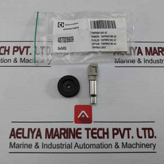 Electrolux 487028609 Temperature Sensor Kit