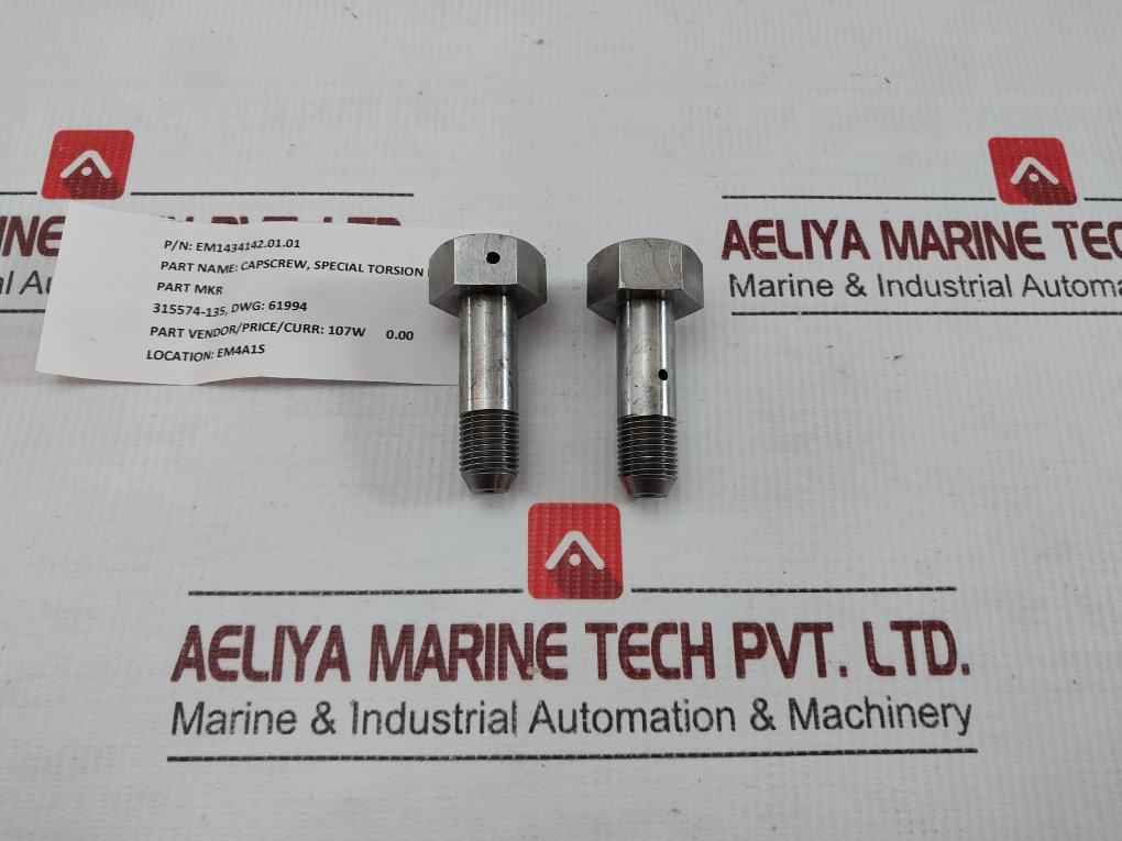 Em1434142.01.01 Capscrew, Special Torsion Link