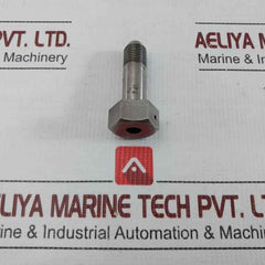 Em1434142.01.01 Capscrew, Special Torsion Link