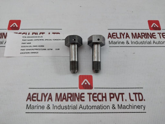 Em1434142.01.01 Capscrew, Special Torsion Link