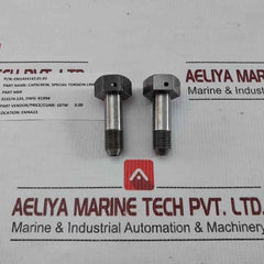 Em1434142.01.01 Capscrew, Special Torsion Link