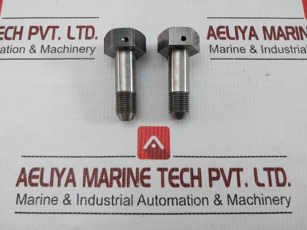 Em1434142.01.01 Capscrew, Special Torsion Link