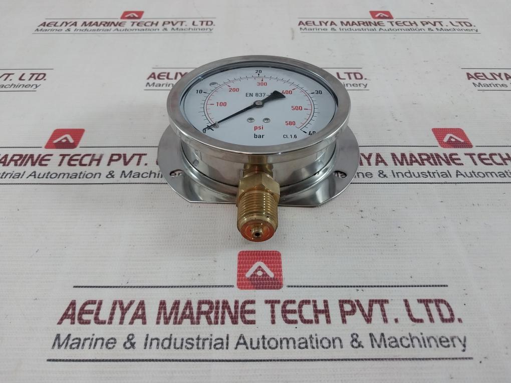 En 837-1 0-580 Psi Pressure Gauge 0-40 Bar