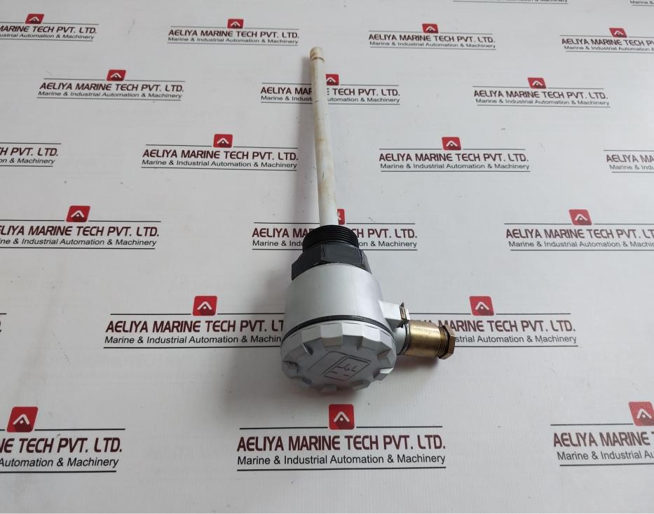 Endress+Hauser 11302 Level Probe Ec 61Z