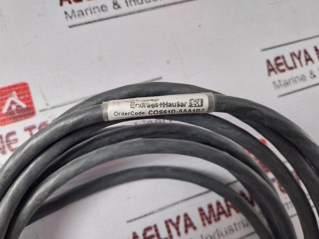 Endress+Hauser Cos61D-10A1/0 Digital Oxygen Sensor